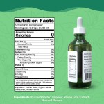 Stevia Drops Supplier - Private Label Flavored Sweetener Zero Calorie