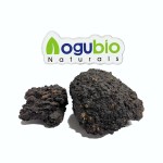 Shilajit Extract Supplier - Bulk Food Grade Private Label 10-50% Fulvic