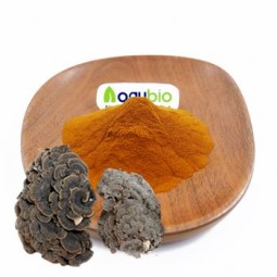 Trametes Extract Factory - ISO Standard Coriolus Versicolor