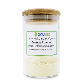 Orange Powder Manufacturer - Wholesale Natural Juice Powder Cheap