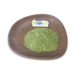 Barley Grass Powder Manufacturer - Organic Certified Cheap Price