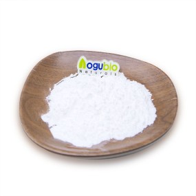 Probiotics Powder Manufacturer - Pediococcus Acidilactici Freeze-dried
