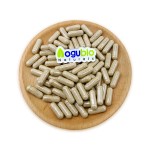 Lions Mane Capsules Supplier - Brain Focus Supplement Extract Powder