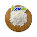 Garcinia Cambogia Supplier - Bulk Extract Powder HCA 50-70%