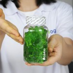 Mushroom Capsules Manufacturer - Private Label Organic Lions Mane Brain