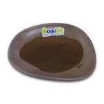 Mushroom Coffee Powder Manufacturer - Pure Organic Private Label
