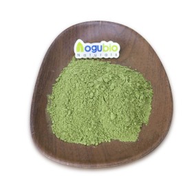 Barley Grass Powder Manufacturer - Organic Certified Cheap Price