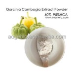 Garcinia Cambogia Supplier - Bulk Extract Powder HCA 50-70%