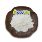 Probiotics Powder Factory - Freeze-dried Powder Original Manufacturer