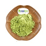 Matcha Powder Factory - ISO Certified Ceremonial Green Tea