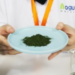 Chlorella Tablets Supplier - High Quality Organic Plant Extract