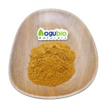 Maitake Powder Manufacturer - 30-50% Polysaccharides Fruiting Body