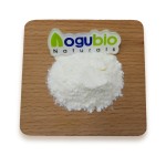 Probiotics Powder Factory - Freeze-dried Powder Original Manufacturer
