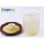 Banana Powder Manufacturer - Organic Superfood Freeze Dried Bulk