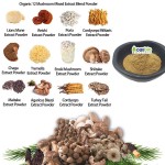 Trametes Extract Factory - ISO Standard Coriolus Versicolor