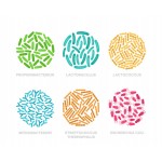 Probiotics Powder Manufacturer - Pediococcus Acidilactici Freeze-dried