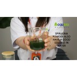 Chlorella Powder Manufacturer - Newest Batch Organic Green Extract
