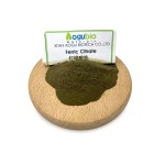 Lactobacillus Acidophilus Powder Supplier - High Quality 3 Billion CFU