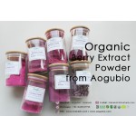 Blackberry Powder Supplier - Superfood Freeze Dried Natural