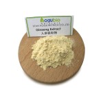 Lactobacillus Acidophilus Powder Supplier - High Quality 3 Billion CFU