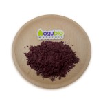 Astaxanthin Powder Supplier - Natural 1% Plant Extract Food Grade