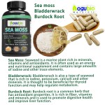 Sea Moss Capsules Manufacturer - High Quality 99% Wholesale