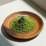 Matcha Powder Manufacturer - ISO Certified Organic Green Tea Free Sample