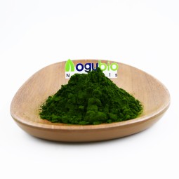 Chlorella Powder Supplier - Organic Food Additive Natural