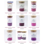 Mango Powder Supplier - Food Additive Water Soluble Health Supplement