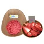 Freeze Dried Strawberry Powder Factory - ISO Factory Bulk Organic