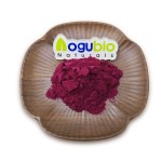 Blackberry Powder Supplier - Superfood Freeze Dried Natural