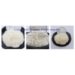 Bovine Colostrum Powder Manufacturer - Bulk Wholesale Original Powder