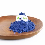 Butterfly Pea Powder Manufacturer - Natural Plant Extract Organic Blue