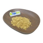 Lions Mane Powder Manufacturer - ISO Organic Mushroom Extract