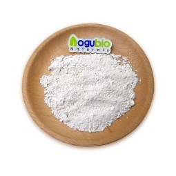Bifidobacterium Animalis Factory - Food Ingredients Freeze-dried Powder