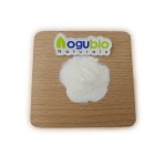 Lactobacillus Bulgaricus Powder Supplier - High Quality 10 Billion CFU