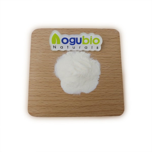 Lactobacillus Bulgaricus Powder Supplier - High Quality 10 Billion CFU