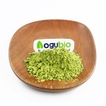 Super Green Powder Supplier - Organic Vegan Supplement Health Care