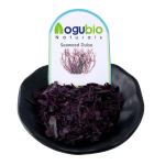 Dulse Powder Factory - OEM Superfood Natural Seaweed Powder