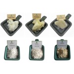 Emulsifying Wax Supplier - Nonionic Liquid Soap BP4004 Daily Chemical