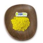Berberine Powder Supplier - High Quality HCL 85% Organic Extract