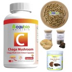 Mushroom Gummies Factory - Organic Private Label Supplement Sale