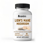Lions Mane Capsules Supplier - Brain Focus Supplement Extract Powder