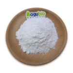 Nattokinase Powder Manufacturer - Food Grade 20000 FU Enzyme