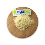 Red Ginseng Capsules Supplier - Korean Panax Ginkgo Biloba Organic