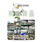 Bladderwrack Powder Factory - Natural Fucus Vesiculosus Extract 10:1