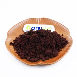 Maqui Berry Powder Manufacturer - Organic Freeze Dried Vegan Superfood