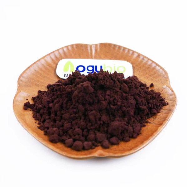 Maqui Berry Powder Manufacturer - Organic Freeze Dried Vegan Superfood