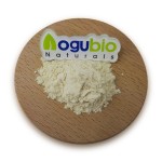 Jackfruit Powder Supplier - Natural Freeze-dried Fruit Powder