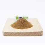 Reishi Extract Powder Factory - Natural Mushroom Extract Powder